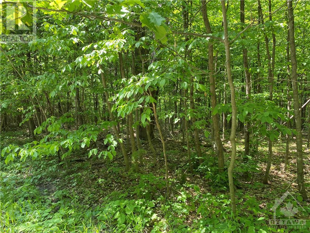 Armitage Avenue, Ottawa, Ontario  K0A 1T0 - Photo 13 - 1314649