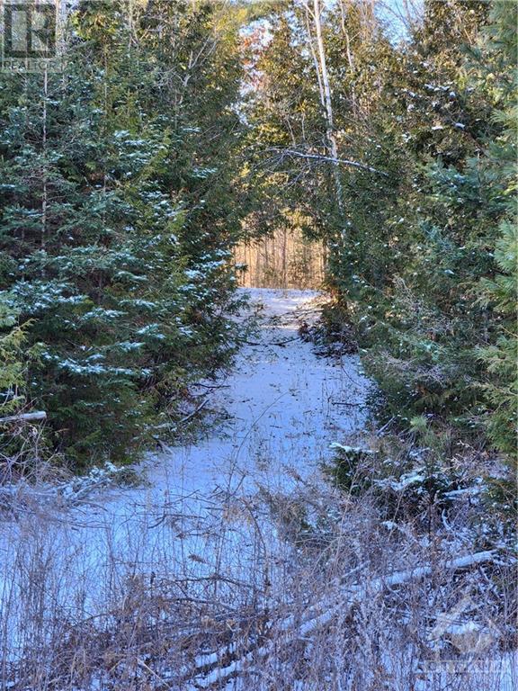 Pt Lt 15 Hwy 511 Road, Lanark Highlands, Ontario  K0G 1K0 - Photo 13 - 1324555