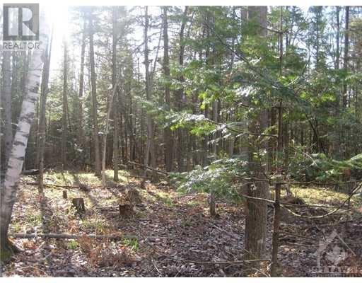 3110 Dunrobin Road, Ottawa, Ontario  K0A 1T0 - Photo 7 - 1337492