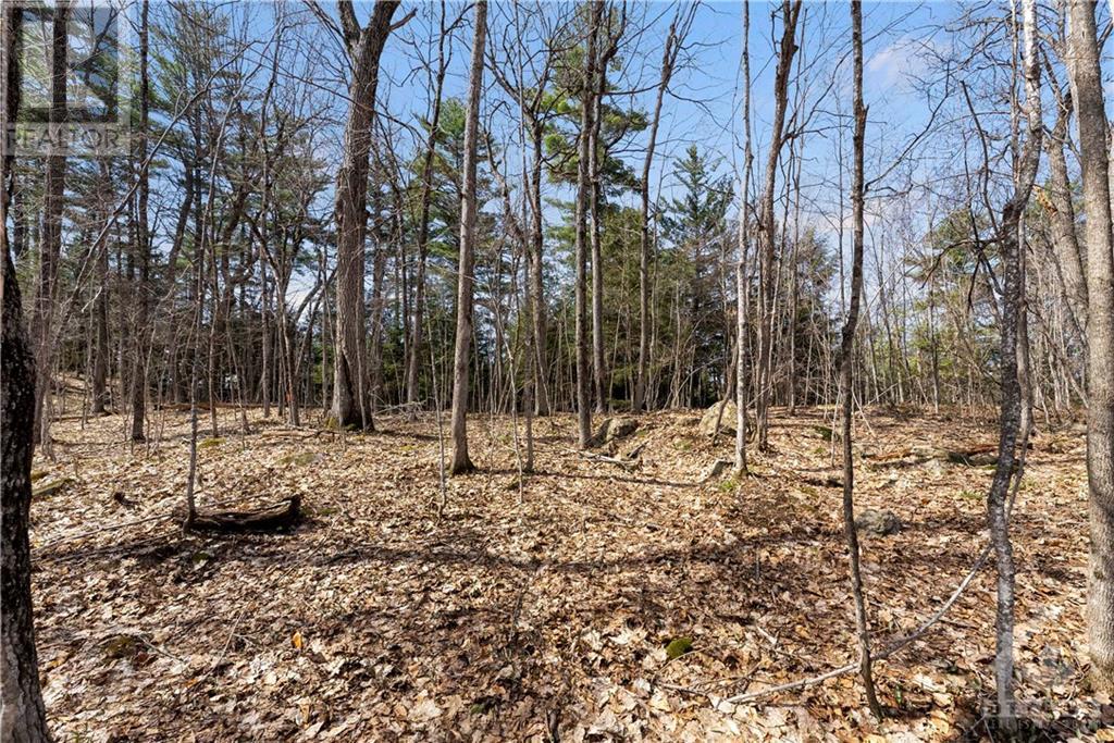 Lot 9 83 Shady Maple Road, Burnstown, Ontario  K0J 1G0 - Photo 13 - 1337790
