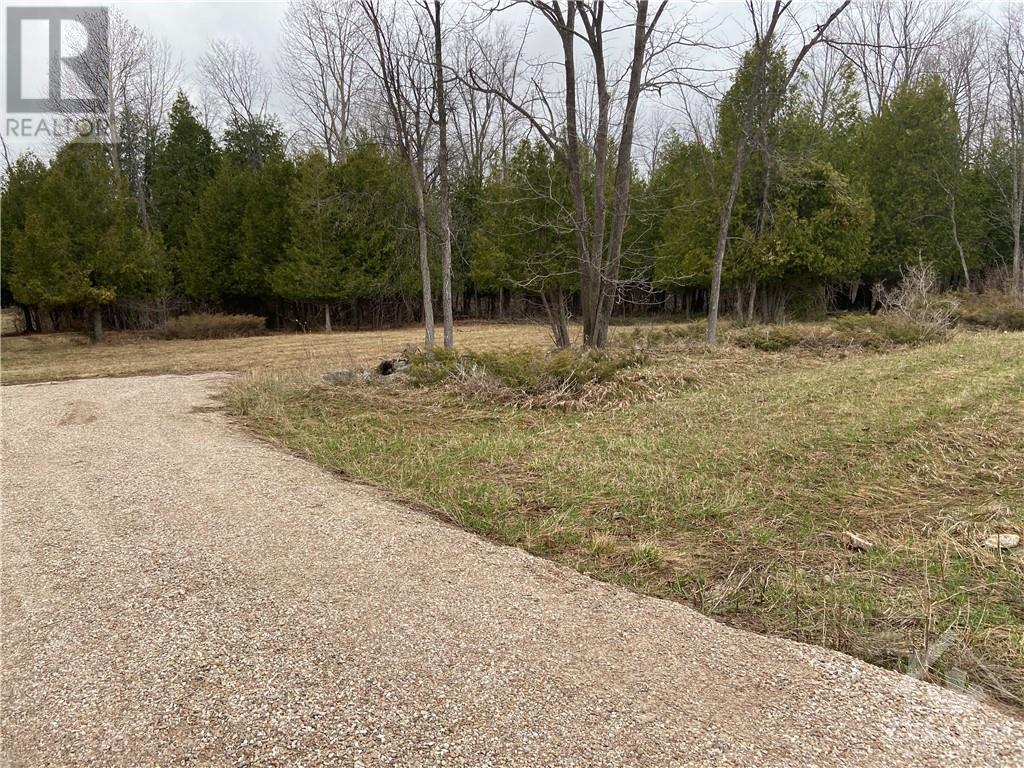 12990 Hwy 7 Highway, Carleton Place, Ontario  K7C 0C5 - Photo 3 - 1338433