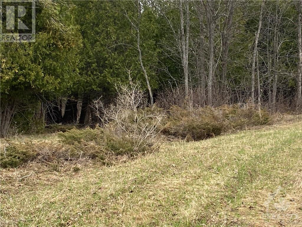 12990 Hwy 7 Highway, Carleton Place, Ontario  K7C 0C5 - Photo 5 - 1338433