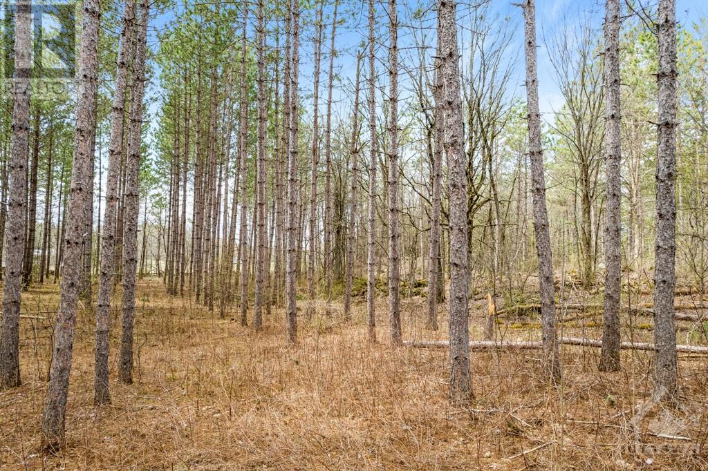 470 11th Line South Sherbrooke Road, Maberly, Ontario  K0H 2B0 - Photo 6 - 1335697