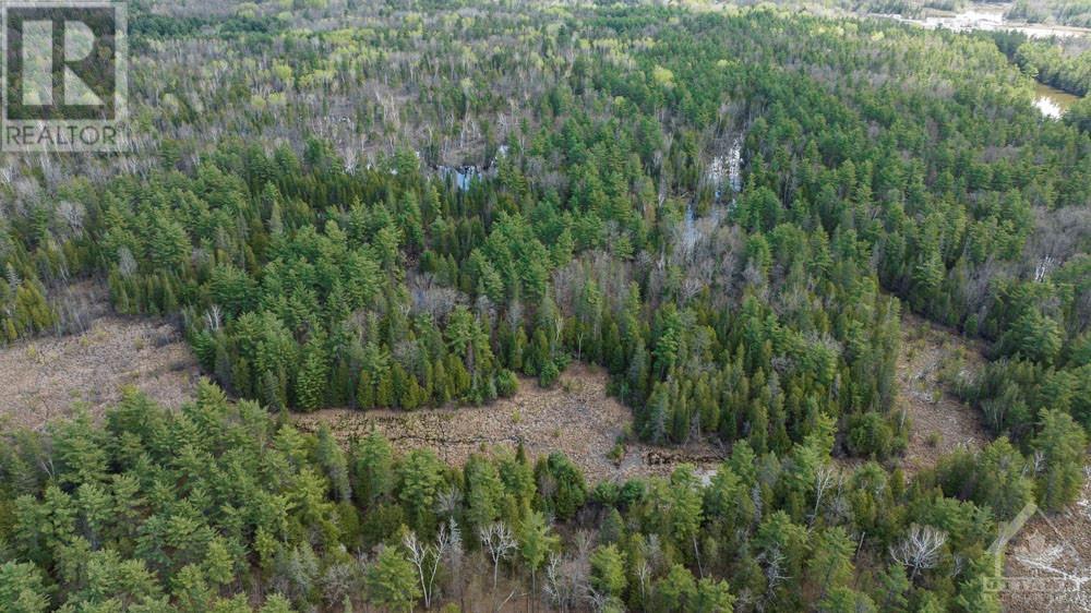 275 Mississippi Drive, Kinburn, Ontario  K0A 1X0 - Photo 10 - 1340265