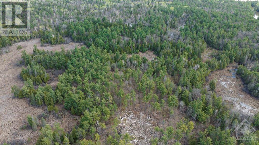 275 Mississippi Drive, Kinburn, Ontario  K0A 1X0 - Photo 13 - 1340265