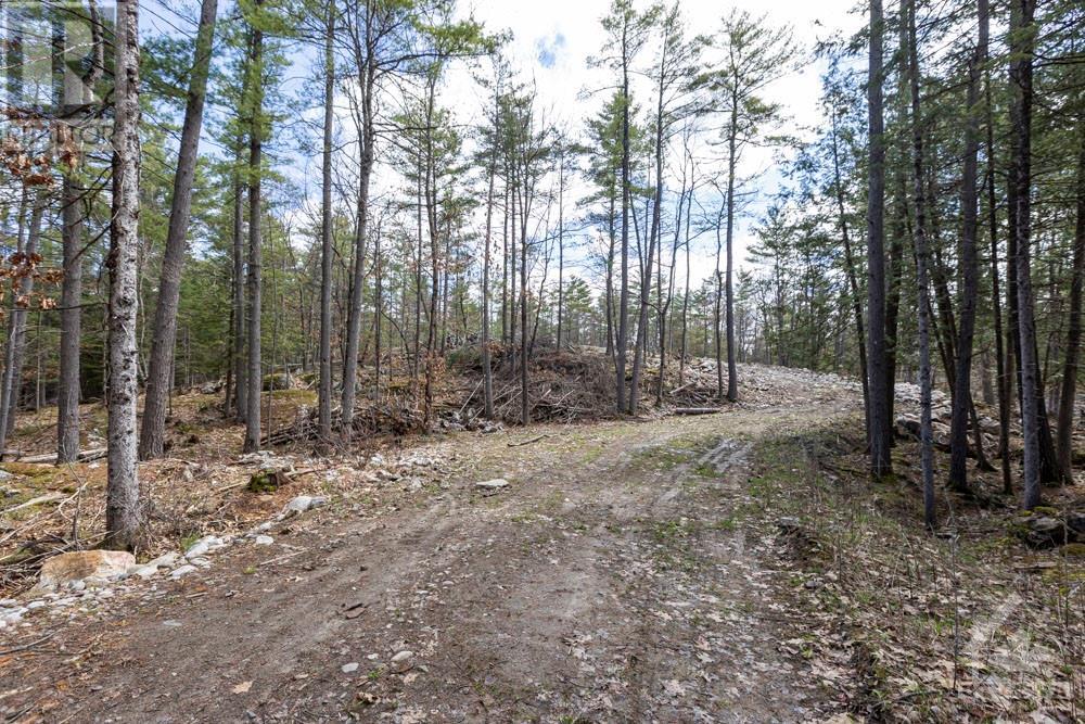 275 Mississippi Drive, Kinburn, Ontario  K0A 1X0 - Photo 5 - 1340265