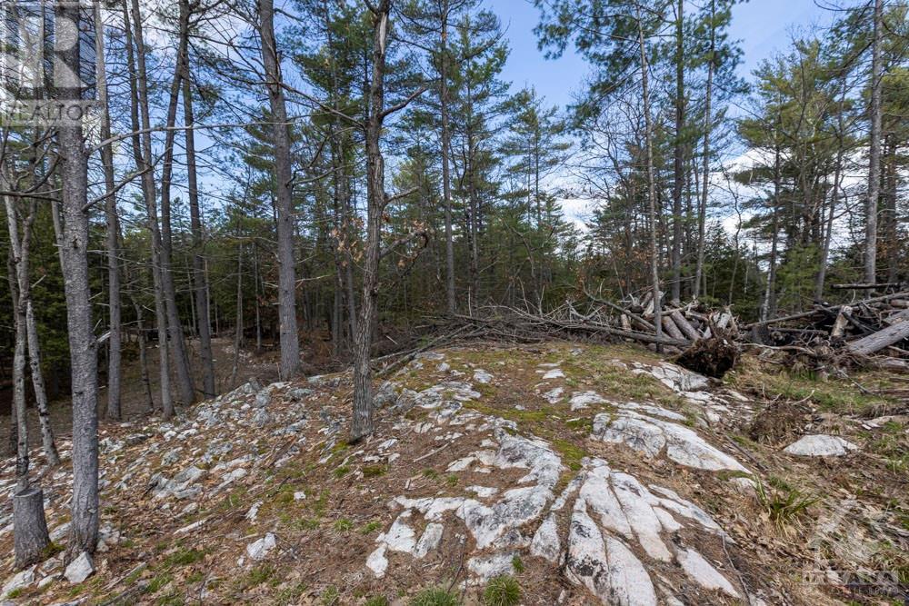 275 Mississippi Drive, Kinburn, Ontario  K0A 1X0 - Photo 8 - 1340265