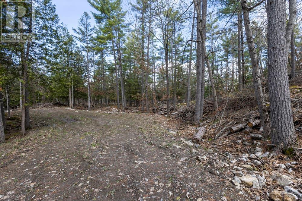 275 Mississippi Drive, Kinburn, Ontario  K0A 1X0 - Photo 9 - 1340265