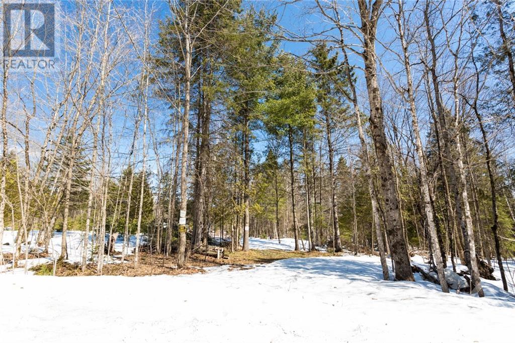 1800 4th Concession B Dalhousie Road, Lanark Highlands, Ontario  K0G 1K0 - Photo 4 - 1339824