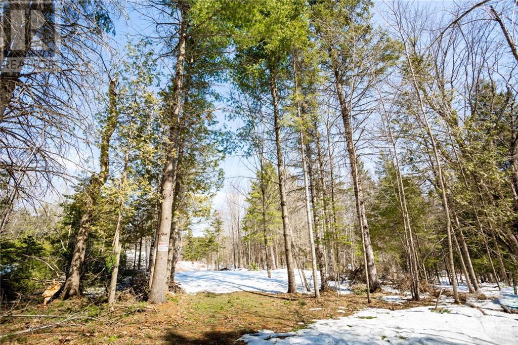 1800 4th Concession B Dalhousie Road, Lanark Highlands, Ontario  K0G 1K0 - Photo 5 - 1339824