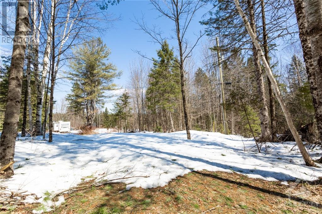 1800 4th Concession B Dalhousie Road, Lanark Highlands, Ontario  K0G 1K0 - Photo 6 - 1339824