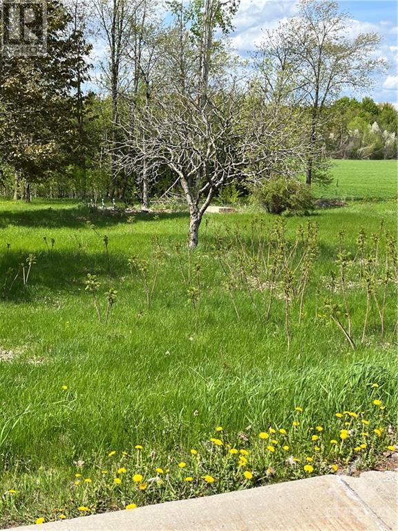00 County Rd 10 Road, Fournier, Ontario  K0B 1G0 - Photo 4 - 1341898