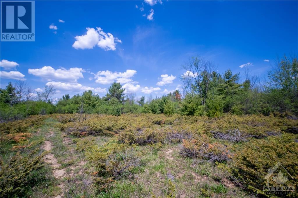 8 Frank Davis Street, Almonte, Ontario  K0A 1A0 - Photo 10 - 1342649