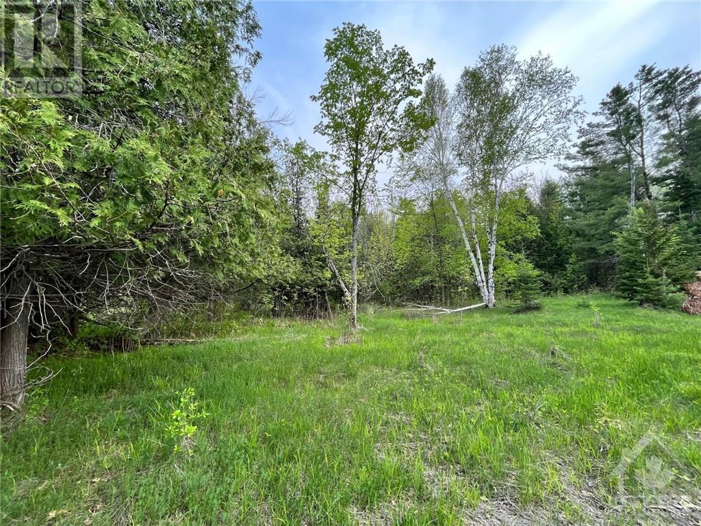 Pt Lt 19 Homesteaders Road, Fitzroy Harbour, Ontario  K0A 1X0 - Photo 4 - 1343102