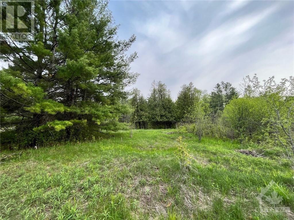 Pt Lt 19 Homesteaders Road, Fitzroy Harbour, Ontario  K0A 1X0 - Photo 8 - 1343102