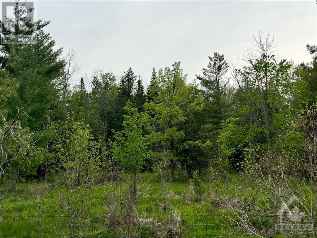 Pt Lt 19 Homesteaders Road, Fitzroy Harbour, Ontario  K0A 1X0 - Photo 9 - 1343102