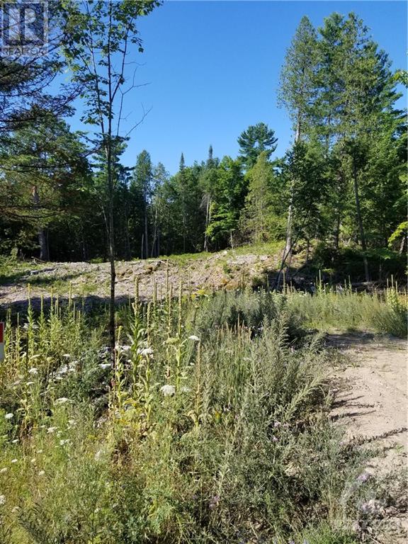 Lot 20 Concession 9b Road, Lanark, Ontario  K0A 1P0 - Photo 4 - 1345370