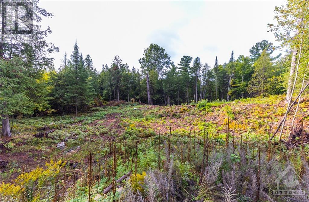 Lot 20 Concession 9b Road, Lanark, Ontario  K0A 1P0 - Photo 6 - 1345370