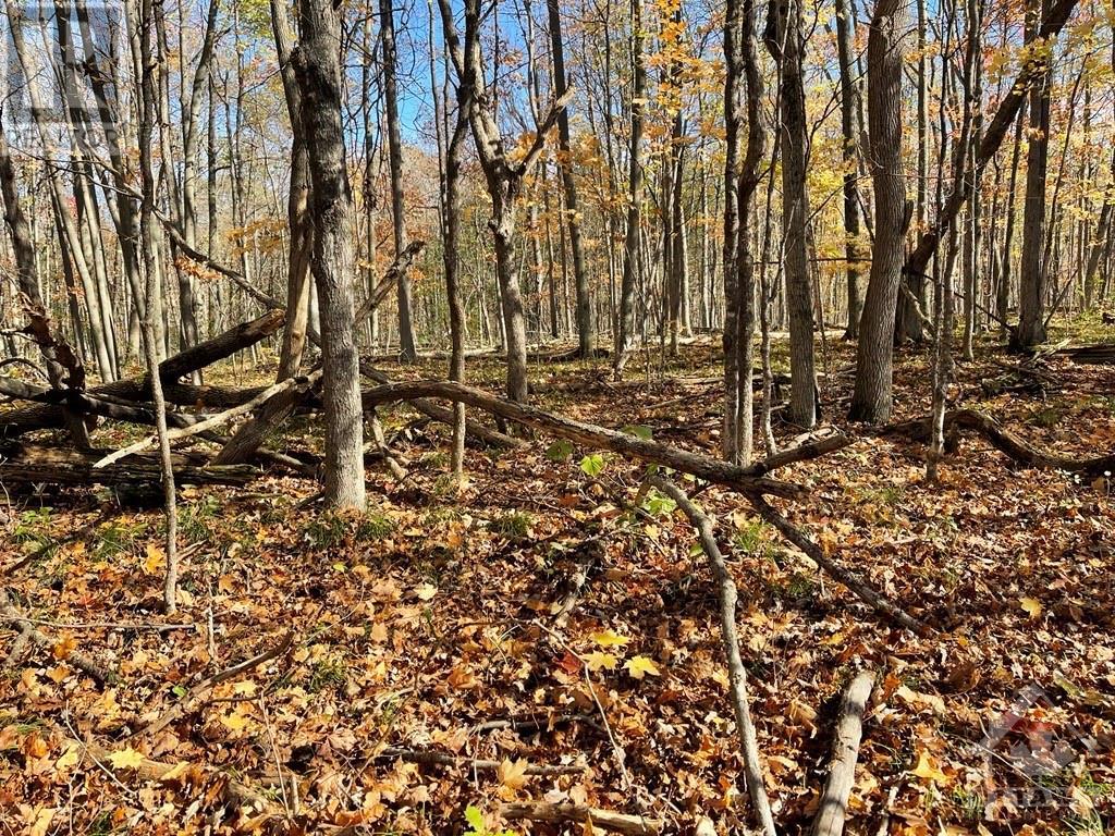 00 LAND O'NOD ROAD, north augusta, Ontario