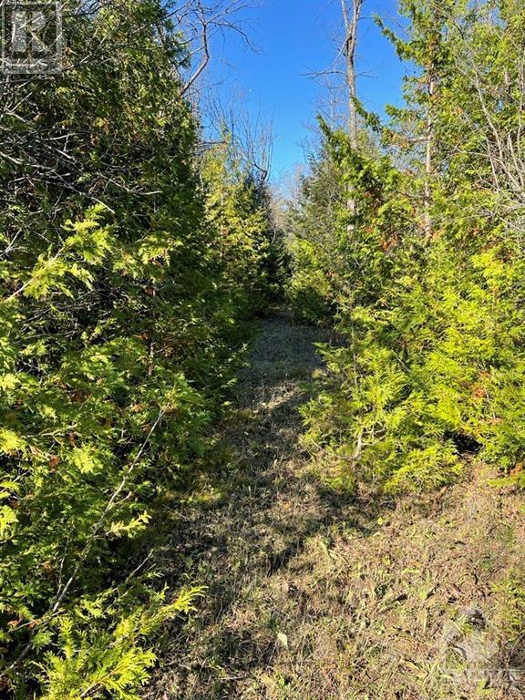 00 Land O'nod Road, North Augusta, Ontario  K0G 1R0 - Photo 2 - 1346360