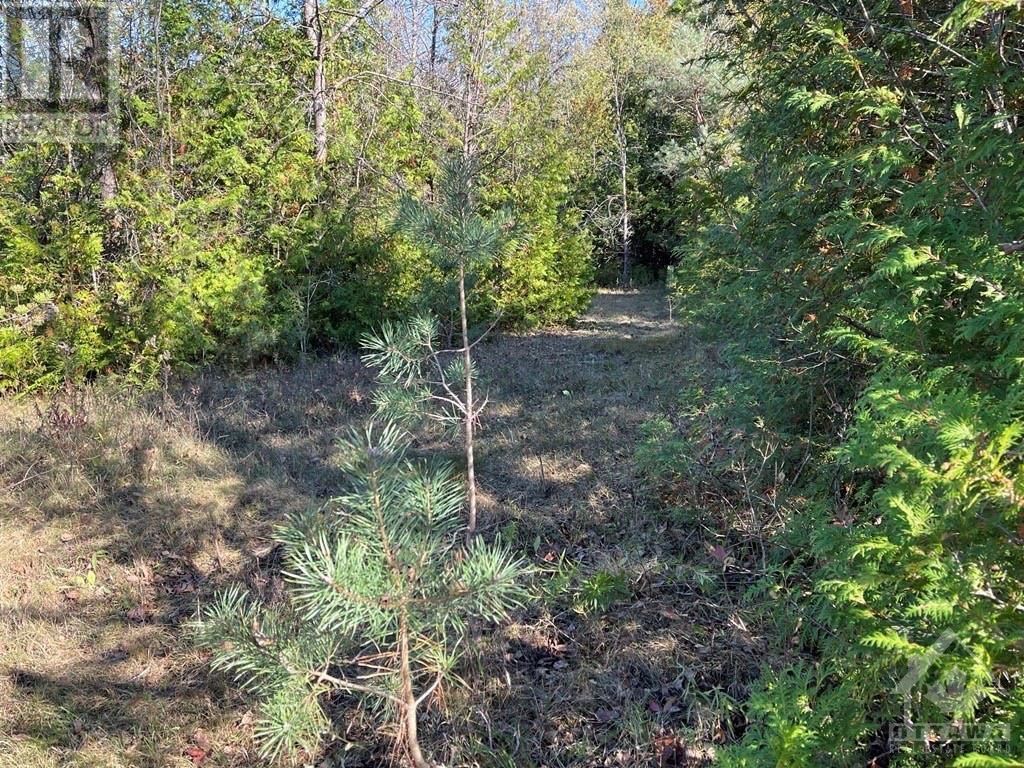 00 Land O'nod Road, North Augusta, Ontario  K0G 1R0 - Photo 4 - 1346360