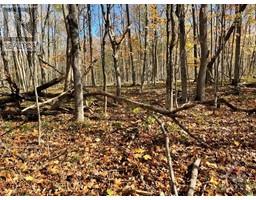 00 LAND O'NOD ROAD, north augusta, Ontario