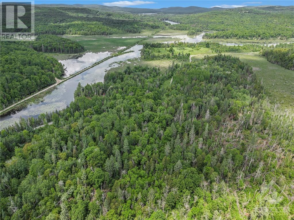 Lot 18 Clyde Forks Road, Lanark Highlands, Ontario  K0G 1K0 - Photo 6 - 1346684