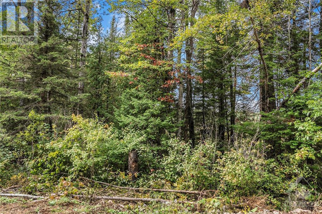 Lot 14&15 Triple Tower Road, Lanark Highlands, Ontario  K0G 1K0 - Photo 13 - 1347253