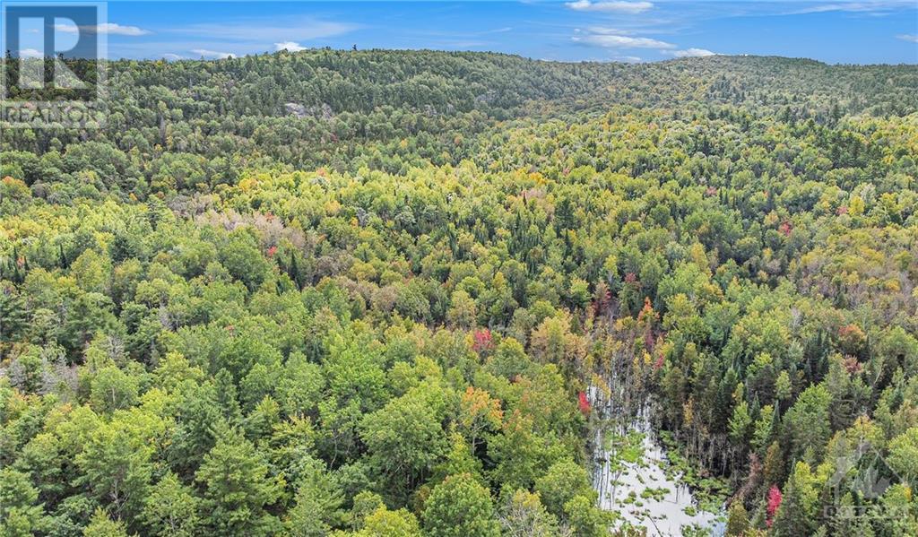 Lot 14&15 Triple Tower Road, Lanark Highlands, Ontario  K0G 1K0 - Photo 18 - 1347253