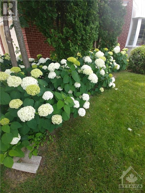 1804 Robinwood Place, Ottawa, Ontario  K1C 6L4 - Photo 2 - 1346510