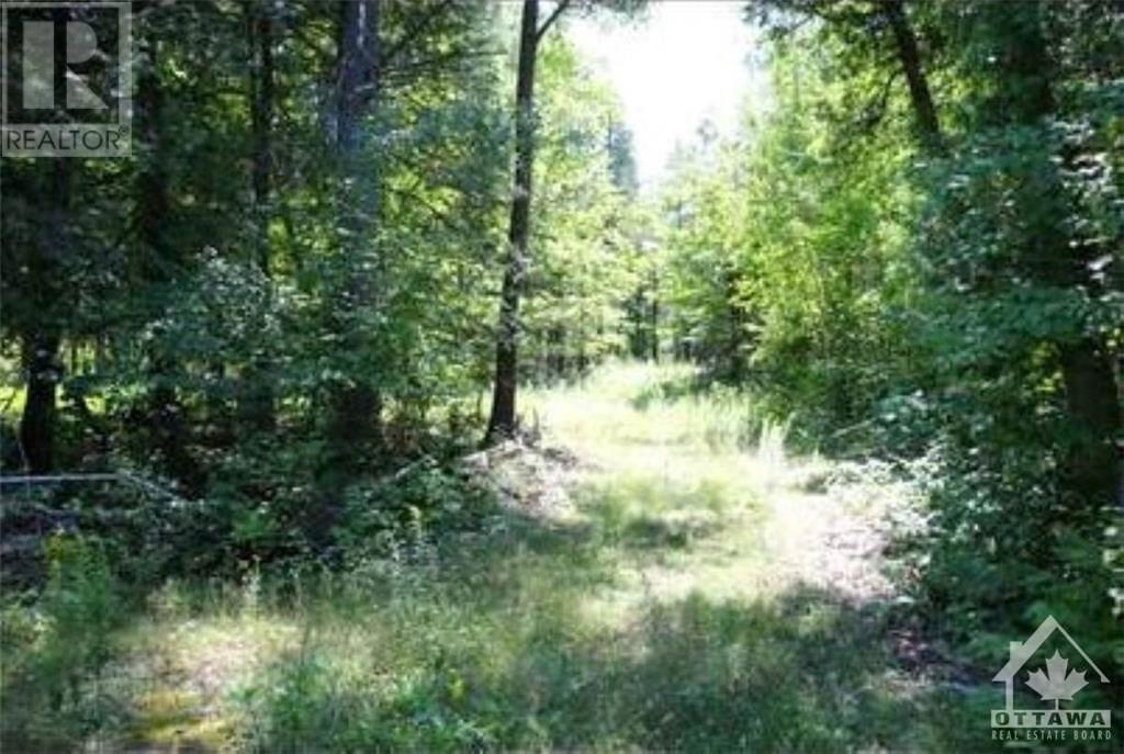 1231 River Road, Braeside, Ontario  K0A 1G0 - Photo 2 - 1348442