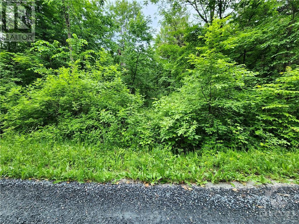 408 Doran Road, Maberly, Ontario  K0H 2B0 - Photo 18 - 1348198