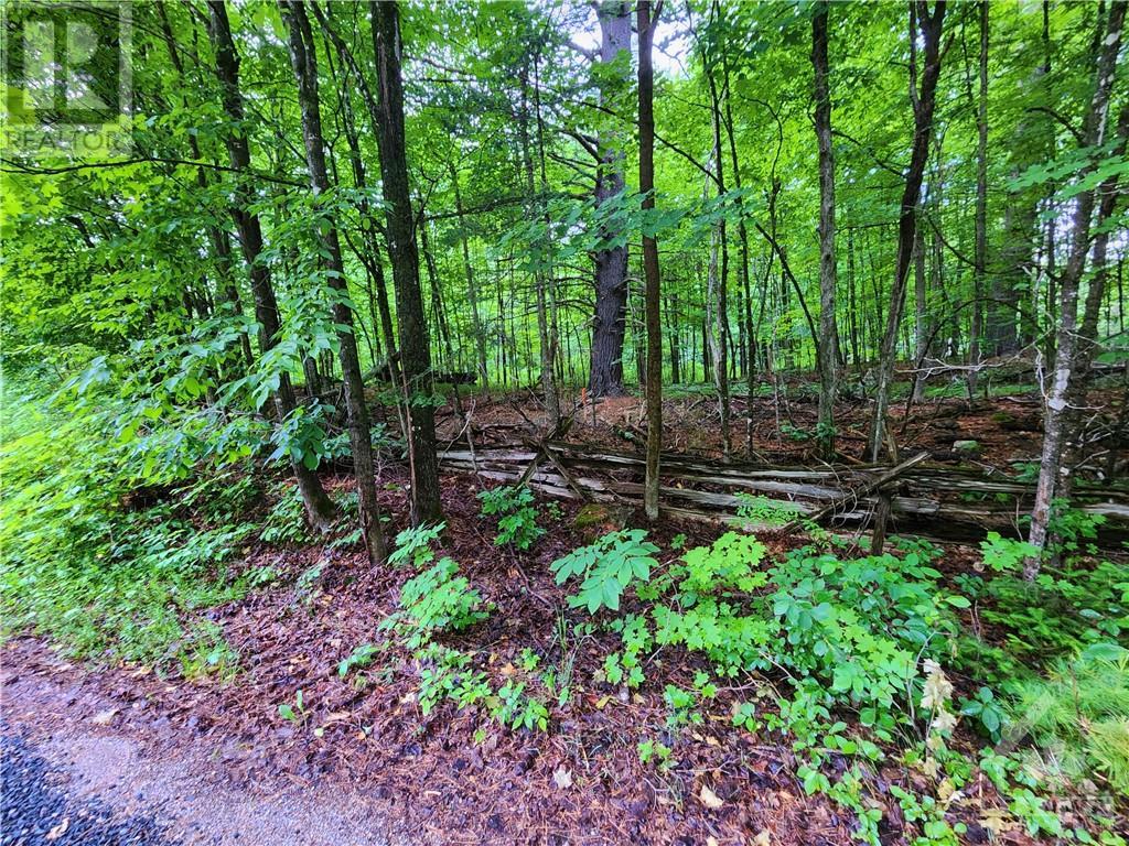 408 Doran Road, Maberly, Ontario  K0H 2B0 - Photo 19 - 1348198