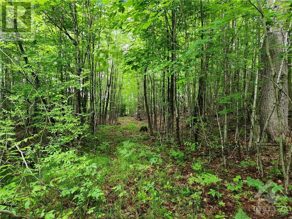 408 Doran Road, Maberly, Ontario  K0H 2B0 - Photo 20 - 1348198