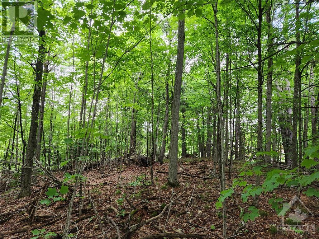 408 Doran Road, Maberly, Ontario  K0H 2B0 - Photo 22 - 1348198