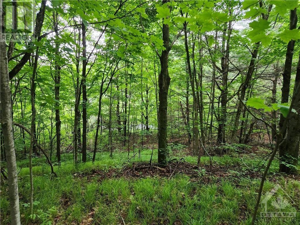 408 Doran Road, Maberly, Ontario  K0H 2B0 - Photo 26 - 1348198