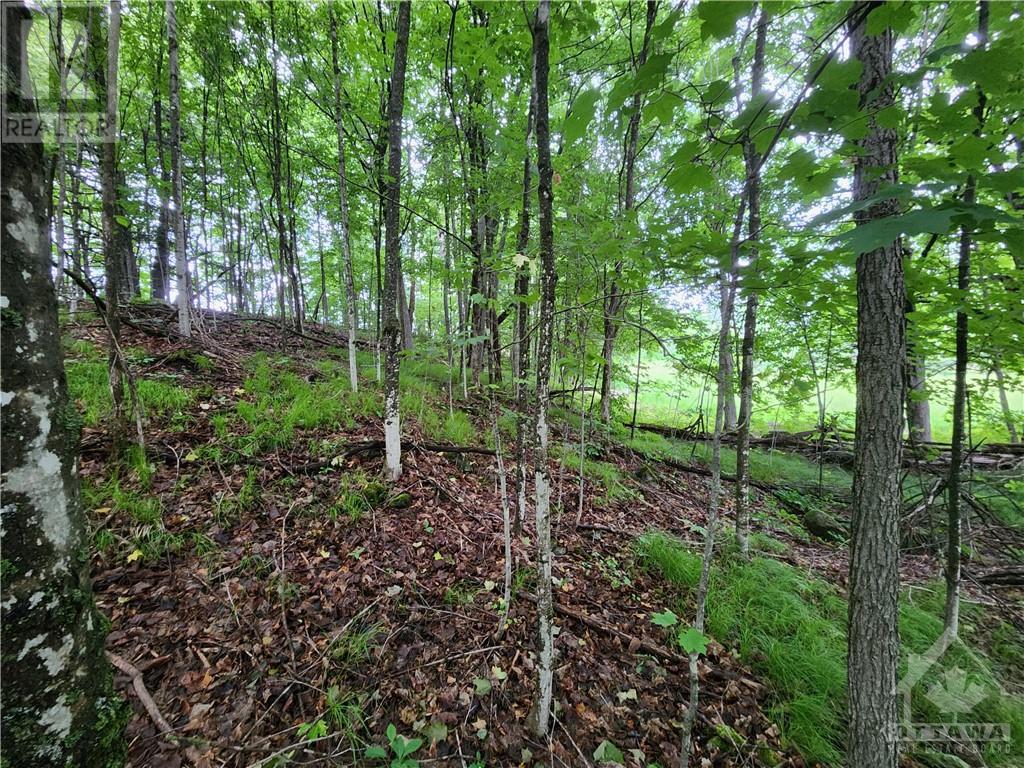 408 Doran Road, Maberly, Ontario  K0H 2B0 - Photo 27 - 1348198