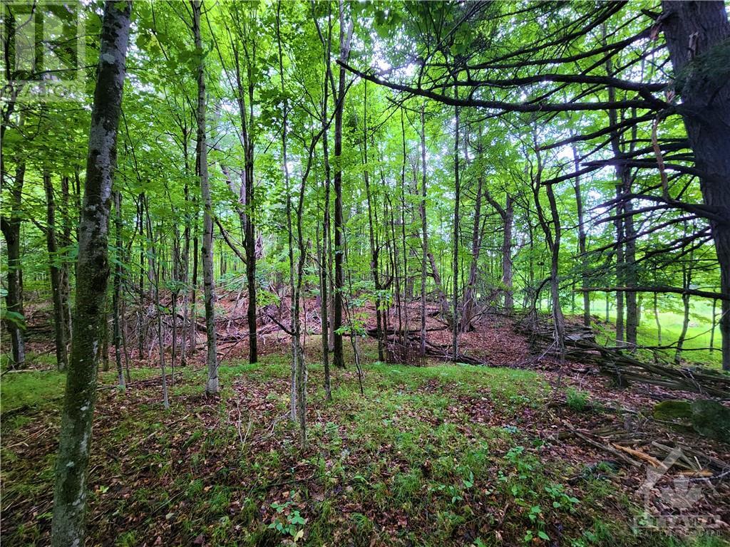 408 Doran Road, Maberly, Ontario  K0H 2B0 - Photo 29 - 1348198