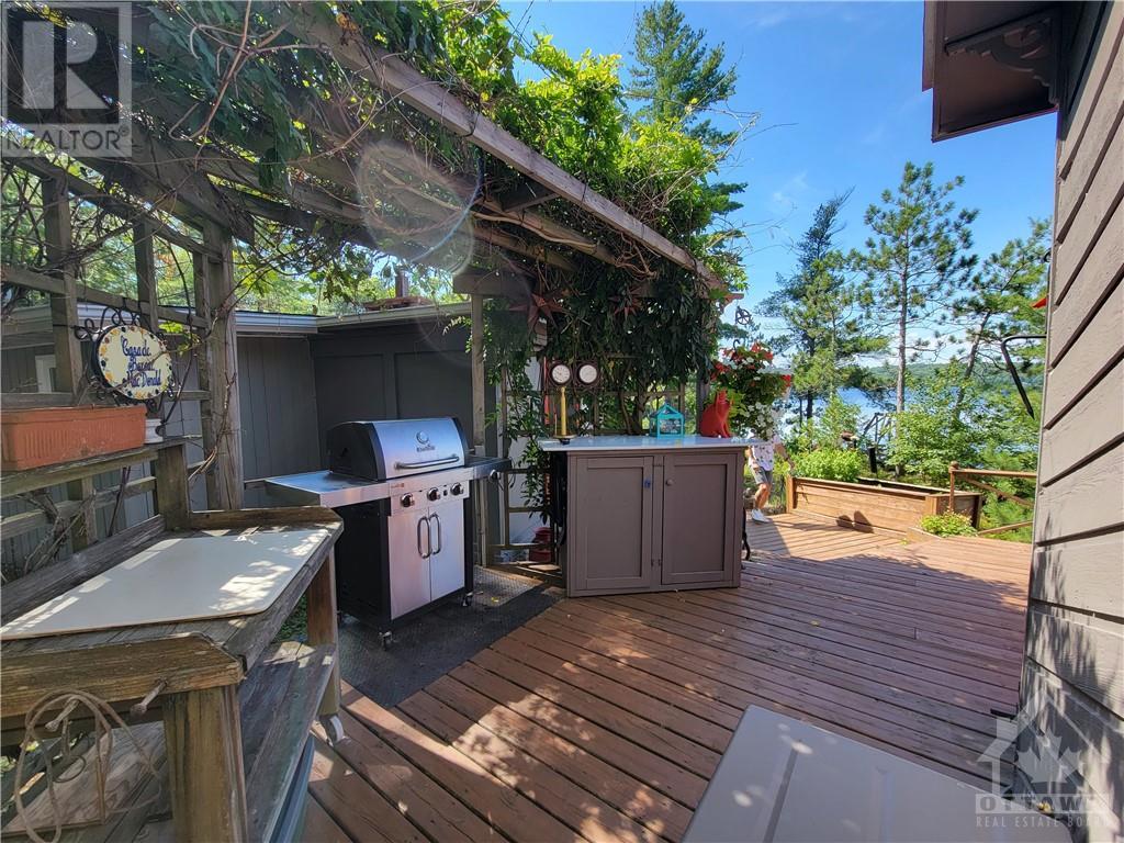 890 Mazinaw Lake, Cloyne, Ontario  K0M 1K0 - Photo 19 - 1350107