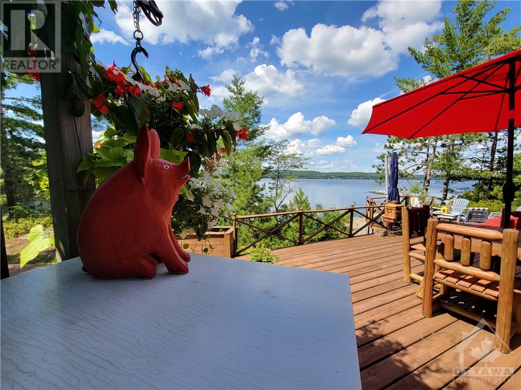 890 Mazinaw Lake, Cloyne, Ontario  K0M 1K0 - Photo 20 - 1350107