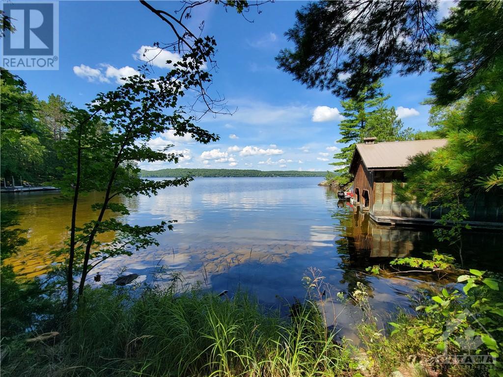 890 Mazinaw Lake, Cloyne, Ontario  K0M 1K0 - Photo 23 - 1350107