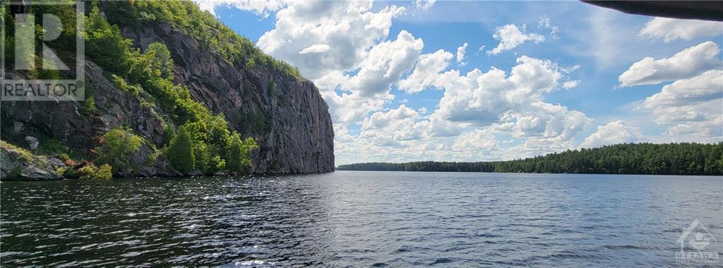 890 Mazinaw Lake, Cloyne, Ontario  K0M 1K0 - Photo 30 - 1350107
