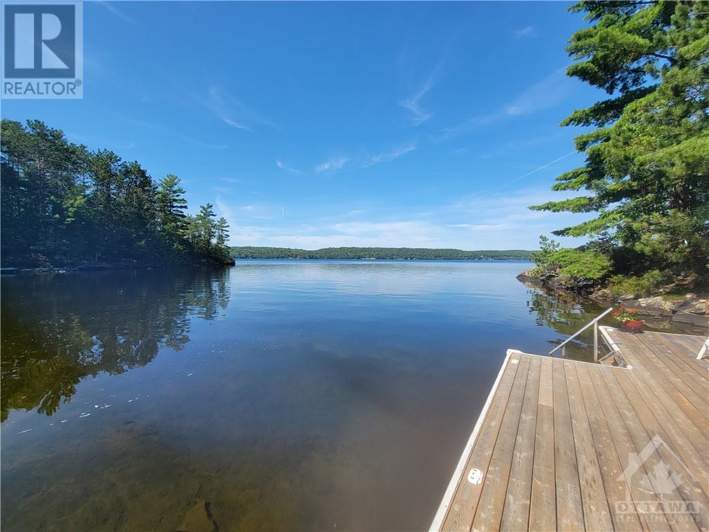 890 Mazinaw Lake, Cloyne, Ontario  K0M 1K0 - Photo 7 - 1350107