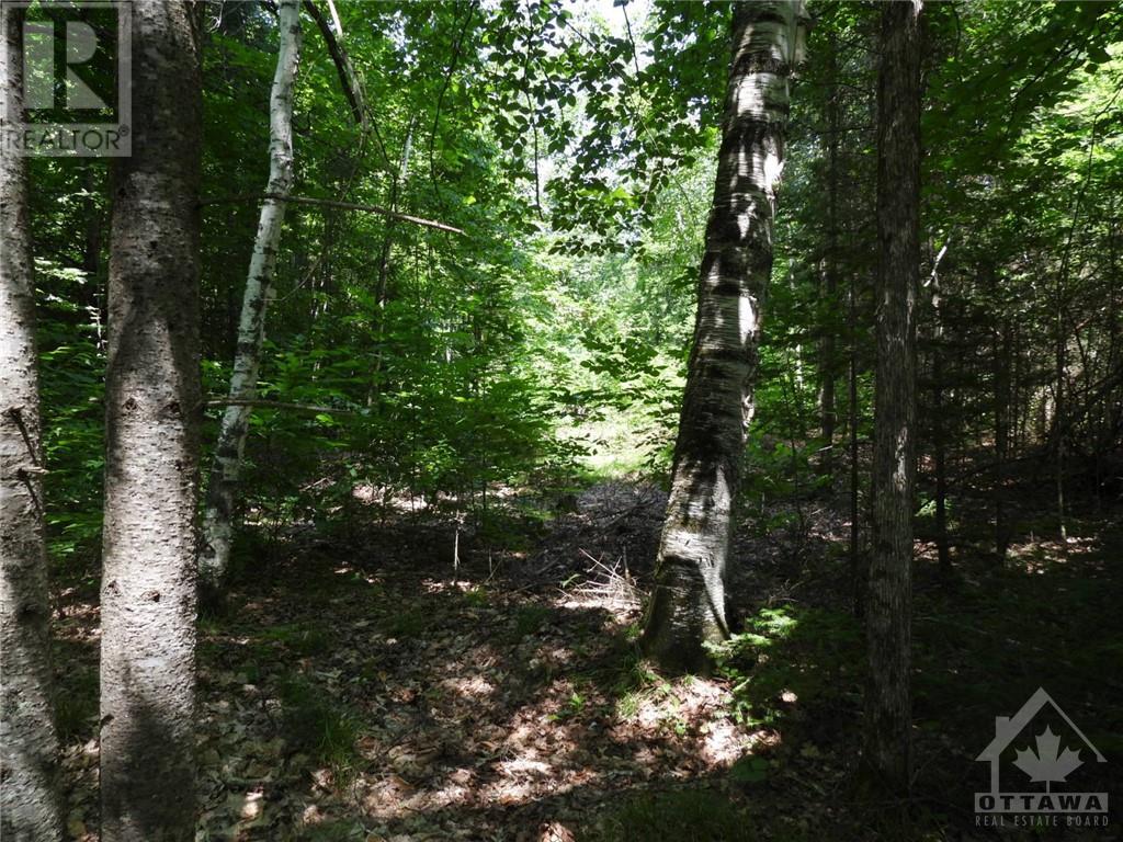 112 Mitchell Lane, Arnprior, Ontario  K7S 3G8 - Photo 10 - 1350533