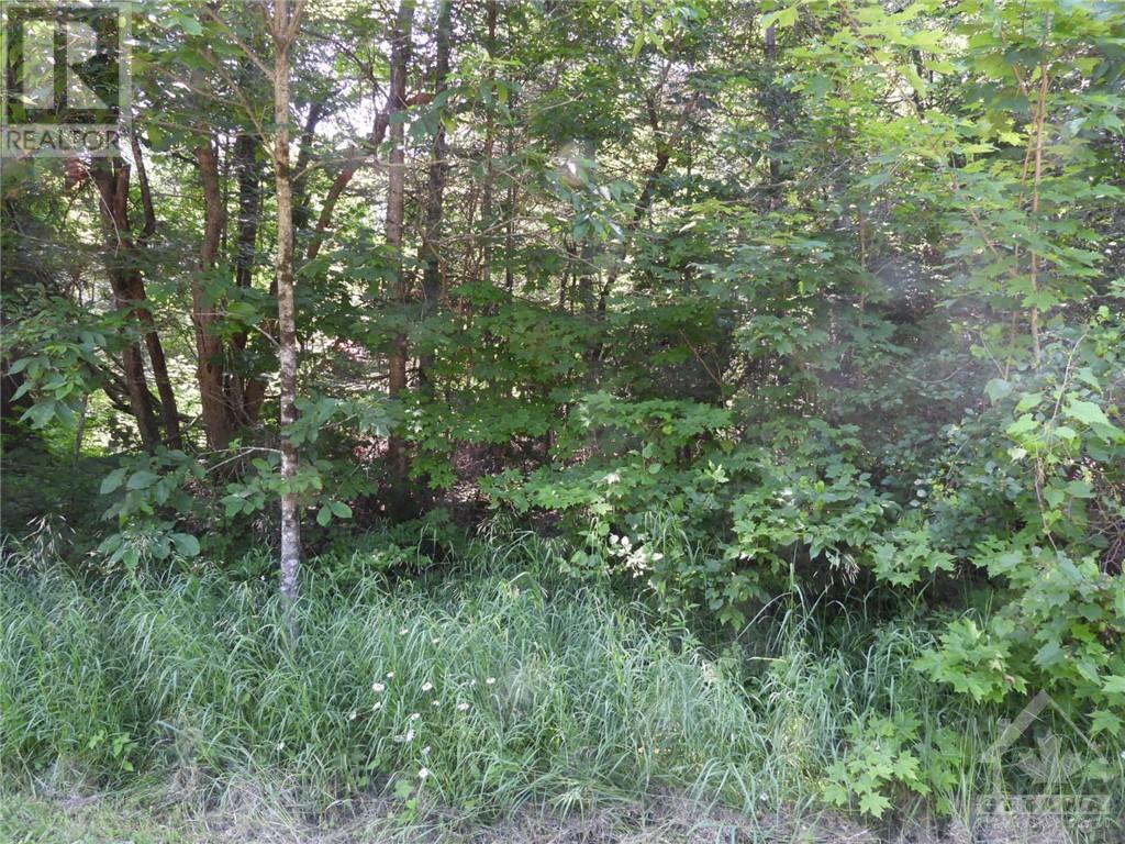 112 Mitchell Lane, Arnprior, Ontario  K7S 3G8 - Photo 19 - 1350533