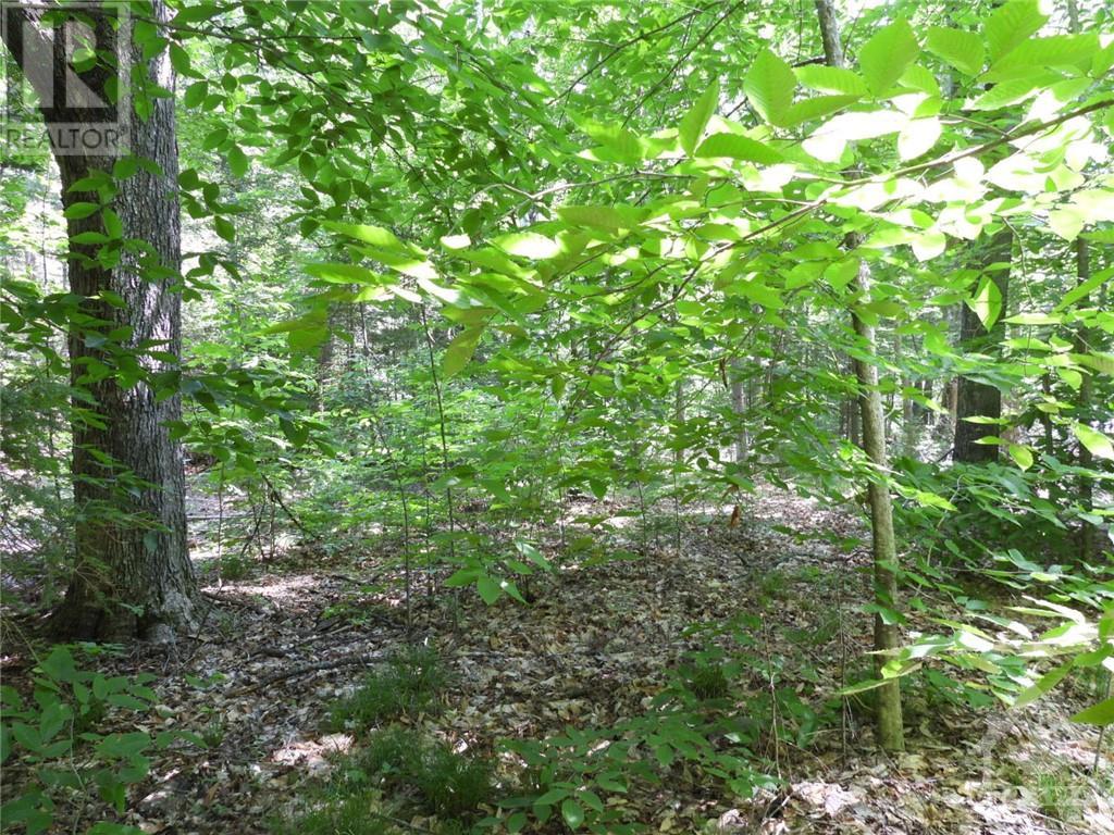 112 Mitchell Lane, Arnprior, Ontario  K7S 3G8 - Photo 2 - 1350533
