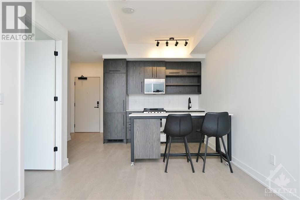 560 Rideau Street Unit#502, Ottawa, Ontario  K1N 5Z8 - Photo 10 - 1351519