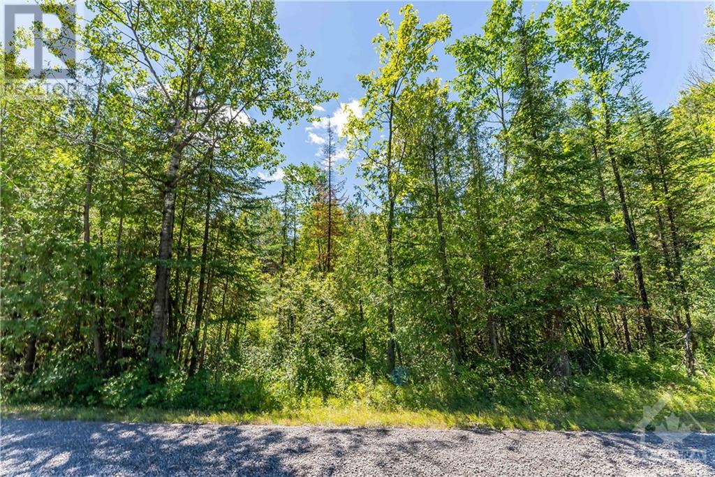 5165 Stonecrest Road, Fitzroy Harbour, Ontario  K0A 1X0 - Photo 10 - 1351942