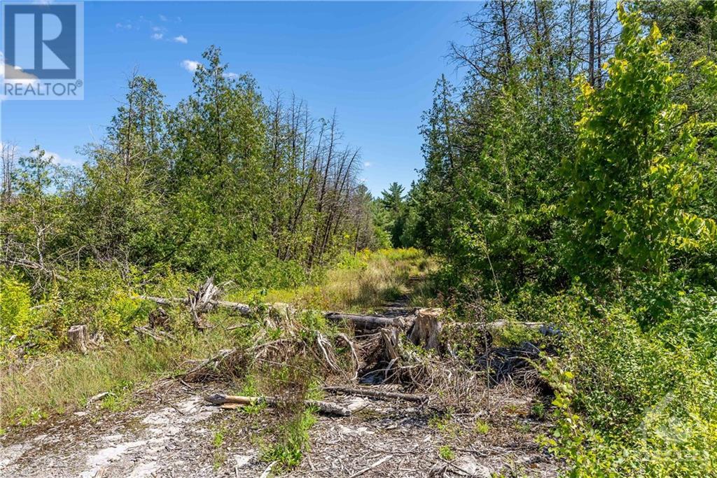 5165 Stonecrest Road, Fitzroy Harbour, Ontario  K0A 1X0 - Photo 28 - 1351942