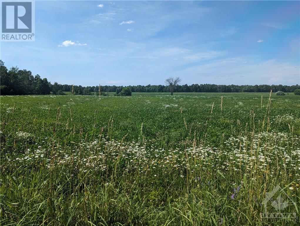 1405 St-Felix Road, Clarence-Rockland, Ontario  K0A 2A0 - Photo 9 - 1352479
